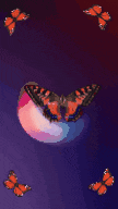 a poster with butterflies and the name aysegul kasirg on it