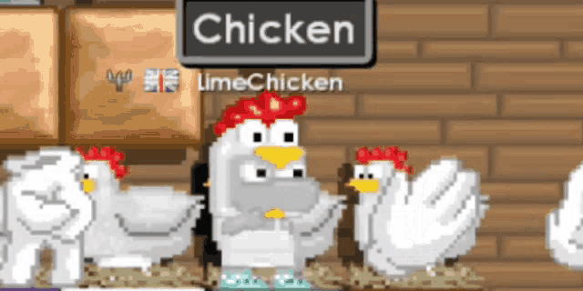 a group of chickens standing next to each other with a sign that says chicken