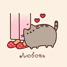 любовь пушин кот GIF - Cat Love Heart GIFs