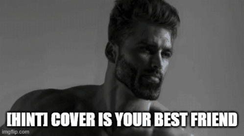 Hint Cover Is Your Best Friend GIF - Hint Cover Is Your Best Friend GIFs