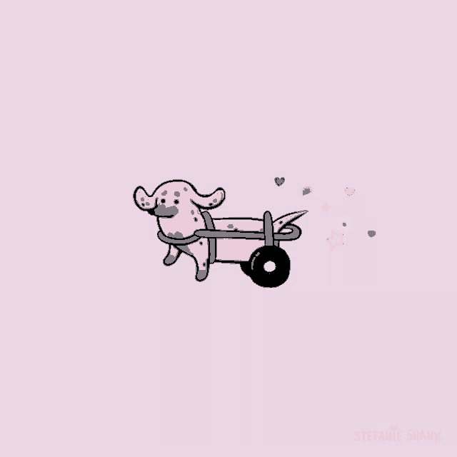 a drawing of a dog in a wheelchair by stefanie shank on a pink background
