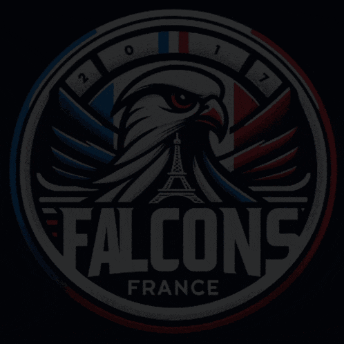 a logo for falcons france with an eagle and the words flag