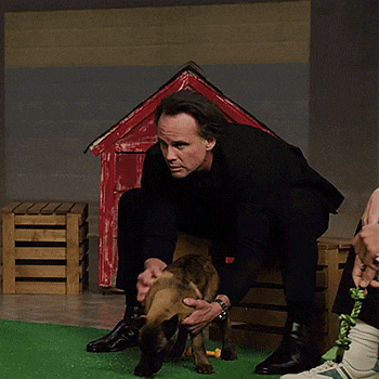 a man in a black shirt is kneeling down next to a brown dog