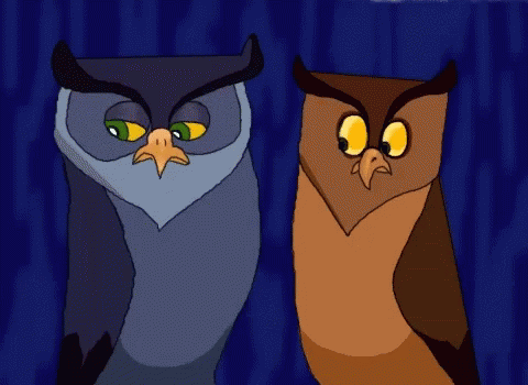 Shady Owls GIF - Shady Owls Pocahontas GIFs