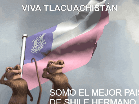 two cartoon animals holding a flag with the words viva tlacuachistan somo el mejor pais de chile hermano on the bottom