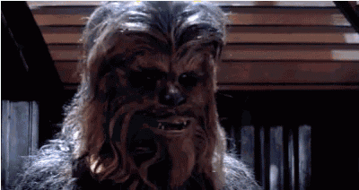 a close up of chewbacca from star wars with a beard