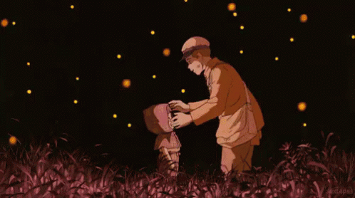 Luciérnaga GIF - Grave Of The Fireflies Take Care Father GIFs
