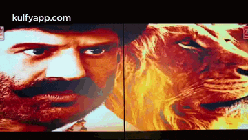 a man and a lion are standing next to each other and looking at the camera .
