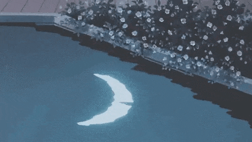 a crescent moon is floating on top of a swimming pool at night .