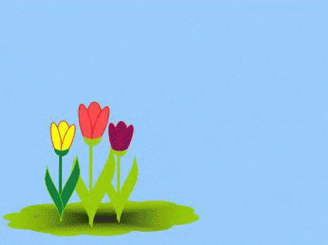 チューリップ 花　春　綺麗　自然 GIF - Tulip Flower GIFs