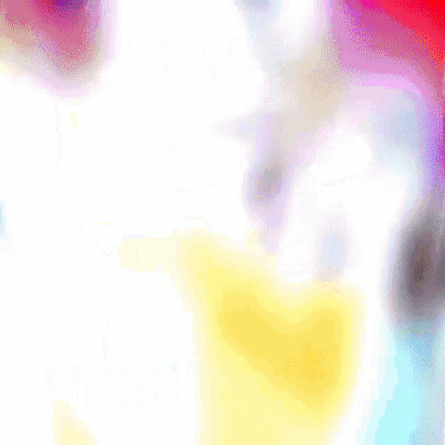 a close up of a stuffed animal with a blurred background .