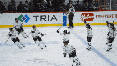 a hockey game is being played in front of a tria ad