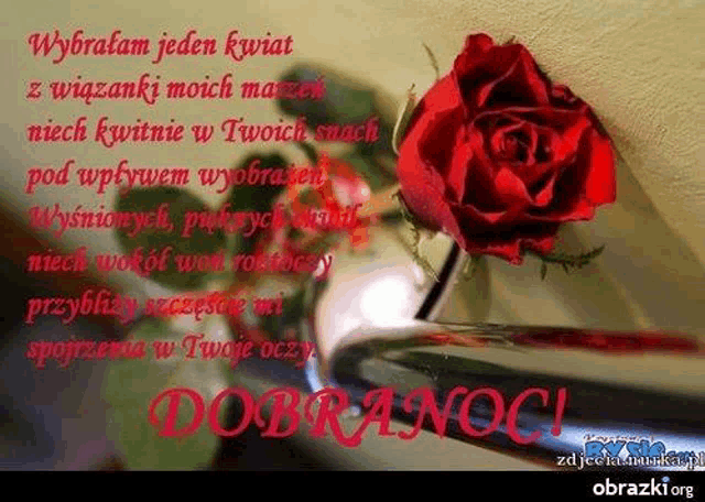 a red rose is in a glass vase with a greeting card in a foreign language .