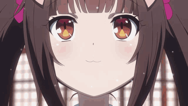 a close up of a girl 's face with brown hair