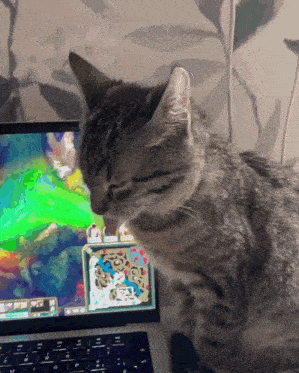 a cat sits in front of a laptop with a game on it