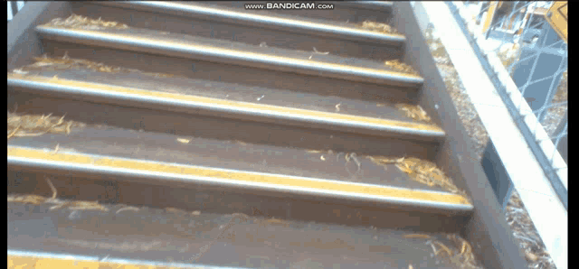 Claremont Perth Train Station Stairs Omgomgomgomg GIF - Claremont Perth Train Station Stairs Omgomgomgomg GIFs