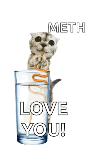 a cat holding a straw in a glass with the words " do n't forget your daily dose of meth enjoy love you "