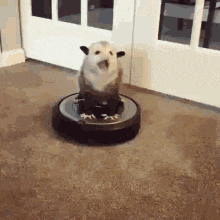 a dog is sitting on top of a vacuum cleaner on the floor .