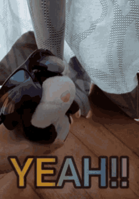 a picture of a stuffed animal with the word yeah on it