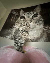 a cat and a kitten are standing next to each other in front of a painting of a cat .