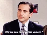 Michael Scott Why GIF - Michael Scott Why Why Are You Like That GIFs