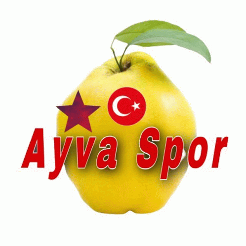 Ali Baba Ayva Spor GIF