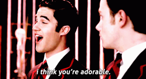 Glee Blaine Anderson GIF - Glee Blaine Anderson I Think Youre Adorable GIFs