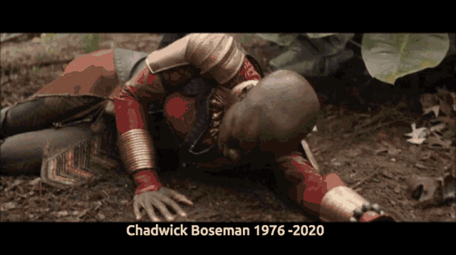 T Challa Chadwick Boseman GIF - T Challa Chadwick Boseman Blank Panther GIFs