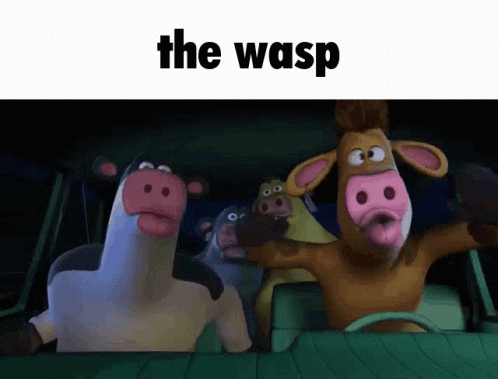 The Wasp Wasp GIF - The Wasp Wasp Kaperoo GIFs