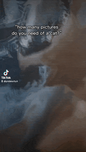 a tiktok video with a picture of smoke and the words my camera roll