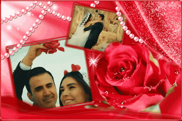 a picture of a bride and groom with a red rose