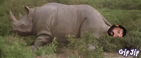 Rhino Eakle GIF - Rhino Eakle GIFs