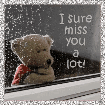 a teddy bear is looking out of a window with the words `` i sure miss you a lot ! ''