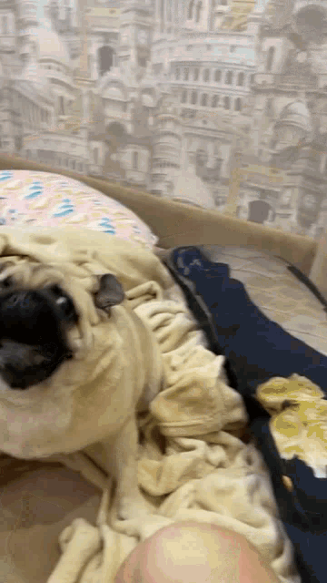 a pug dog is laying on a bed with a blanket and a pillow