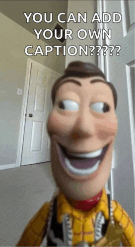 a woody doll with a caption that says " you can add your own caption ?? "