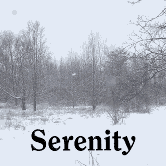 a snowy forest with the word serenity in black