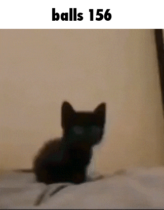 a black kitten is sitting on top of a bed with the words `` balls 156 '' above it .