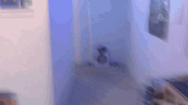 a blurry picture of a room with a blue light behind the door