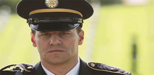 Veterans Day Salutes GIF - Veterans Day Salutes GIFs