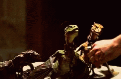 Dragons Game Of Thrones GIF - Dragons Dragon Game Of Thrones GIFs