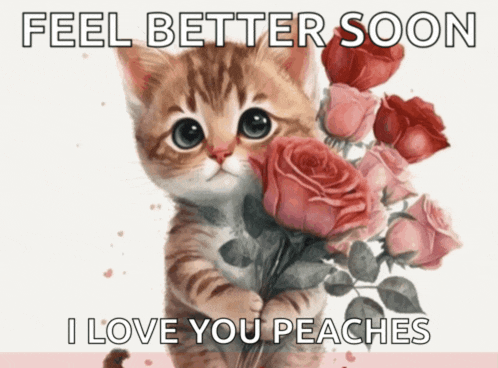 a cat holding a bouquet of roses with the words feel better soon i love you peaches below it