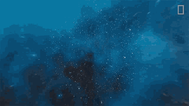 a blue background with a national geographic logo in the upper right corner