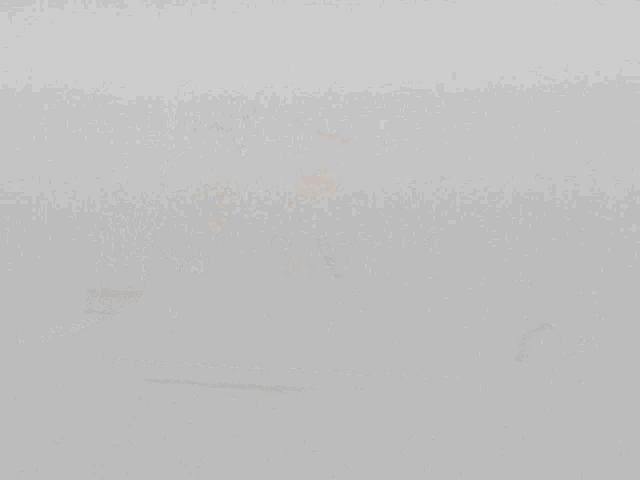 Aleks Kazuha GIF