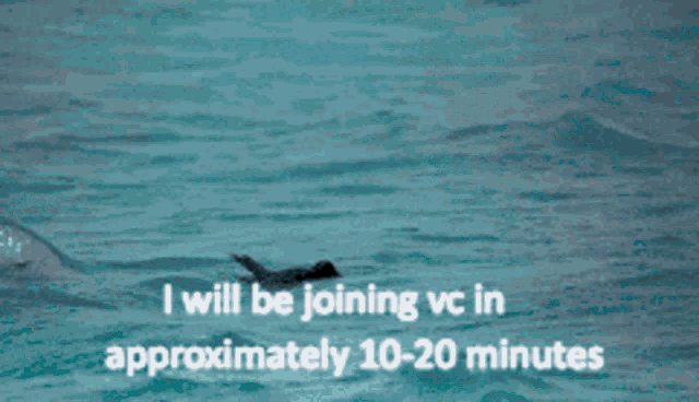 I Will Be Joining Vc In Approximately GIF - I Will Be Joining Vc In Approximately GIFs