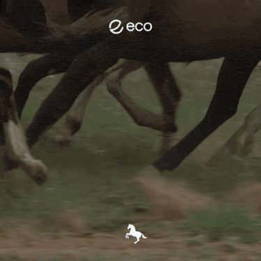 a picture of a herd of horses with the words another one