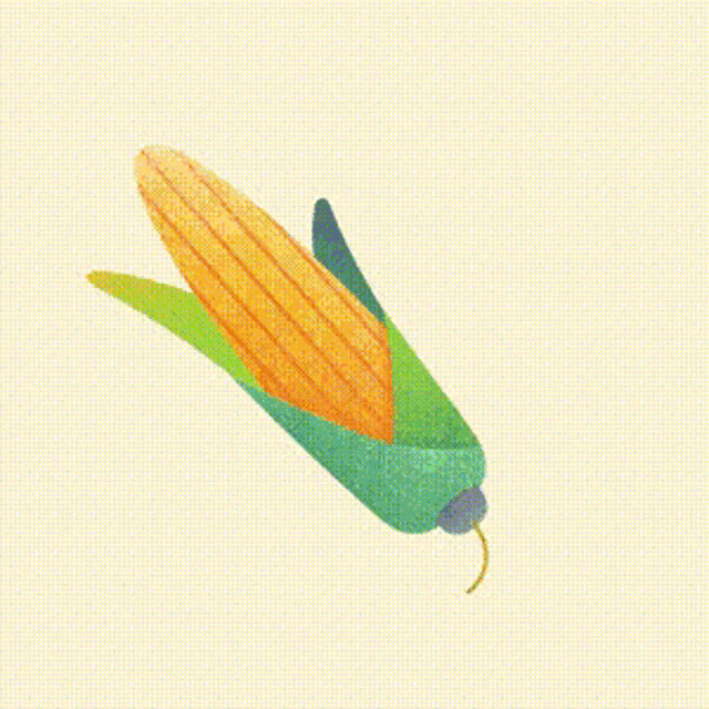 a green and yellow corn on the cob with a yellow stripe on it .