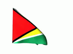 Guyana GIF - Guyana GIFs