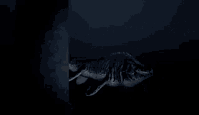 a black and white photo of a whale 's tail in the dark .