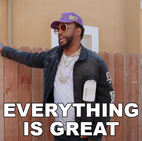 Everything Is Great Camron GIF - Everything Is Great Camron Hip Hop My House GIFs