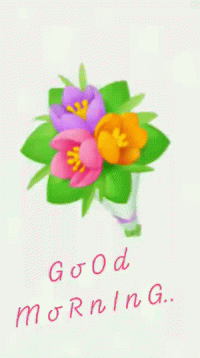 Good Morning Flowers GIF - Good Morning Flowers Bouquet GIFs